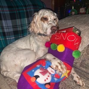 Meet your Posher, Grace